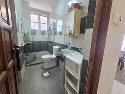 Serangoon Garden Estate (D19), Semi-Detached #636254321